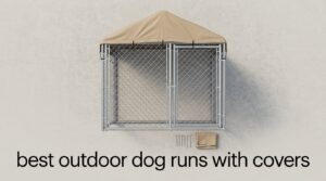 best outdoor dog runs with covers