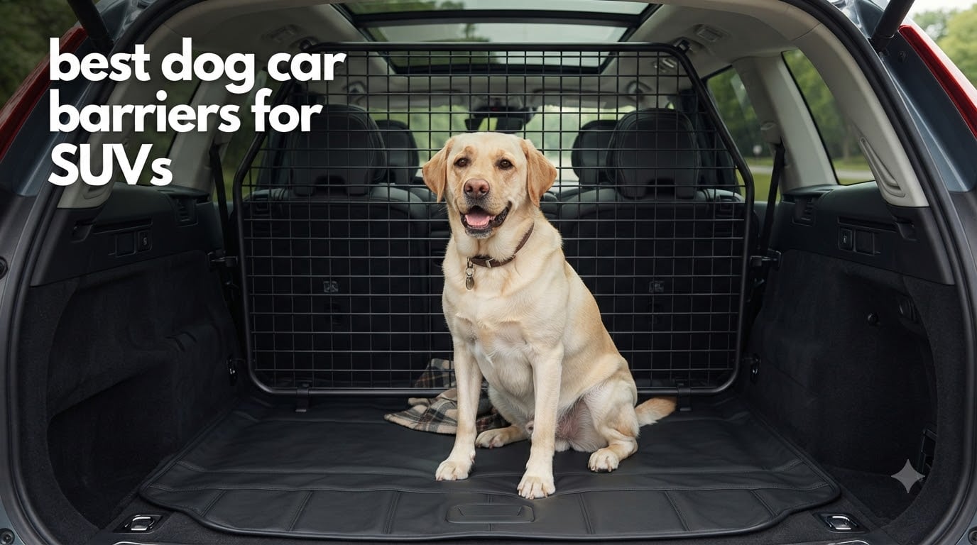 best dog car barriers for SUVs