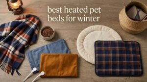 best heated pet beds for winter