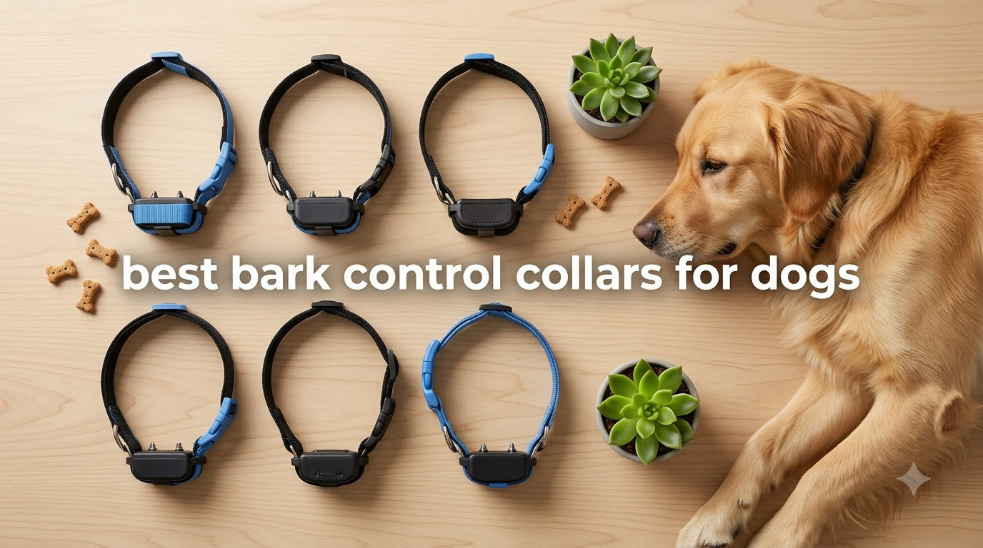 best bark control collars for dogs