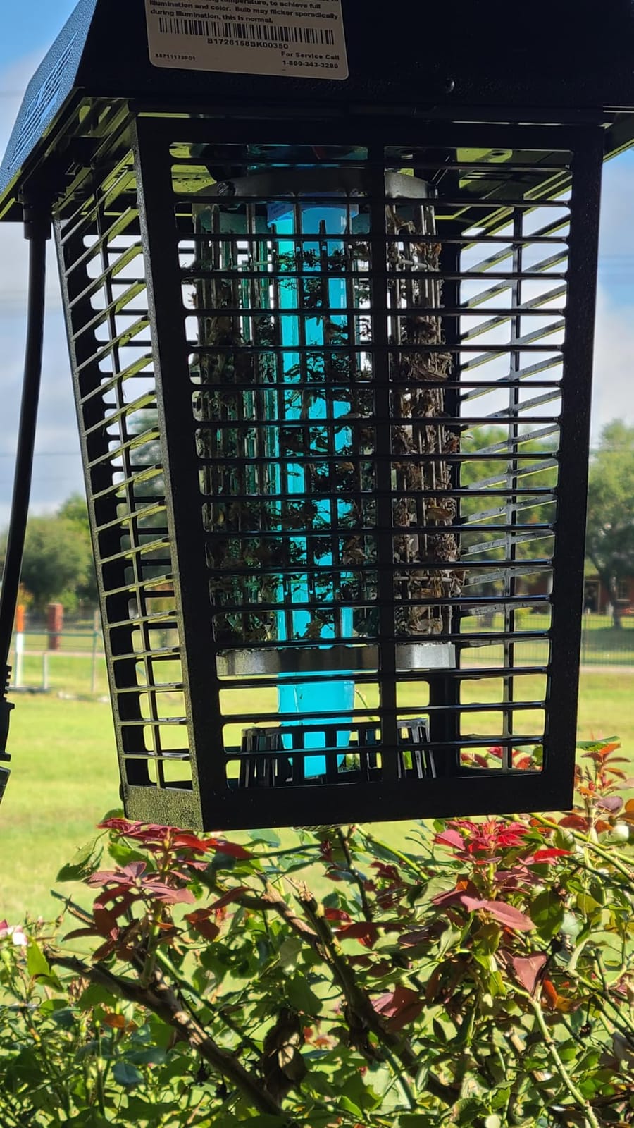 Flowtron Electric Bug Zapper, 1 Acre Outdoor, 40W UV, 5600V Zap, Black customer photo 2