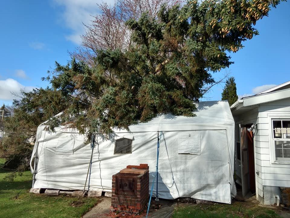 King Canopy Hercules with Enclosure Kit 10-Feet by 20-Feet, 2-Inch Steel Frame, 1.5 Purlins, 8-Leg, White customer photo 1