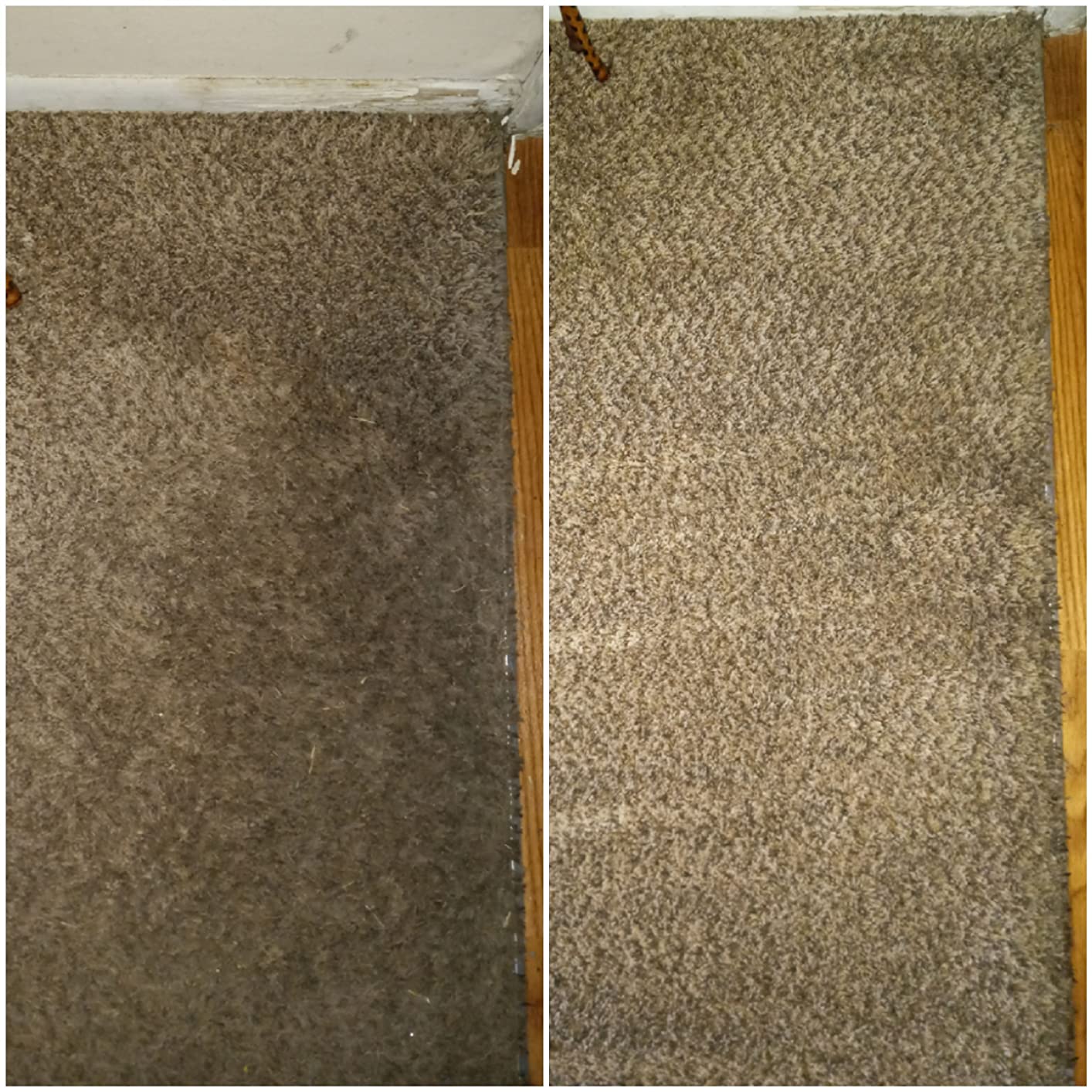 Resolve Carpet Cleaner Spray, Stain & Spot Remover for Carpet, 32 Fl Oz customer photo 1