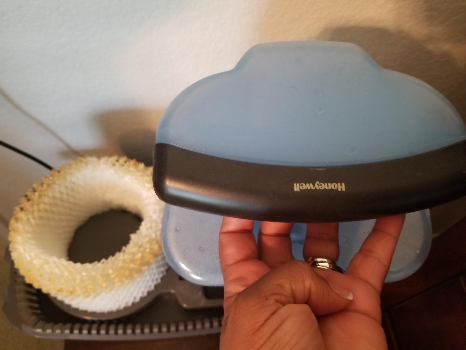 Honeywell Cool Moisture Humidifiers for Bedroom, Medium Rooms, 1.1 Gallon, Invisible Moisture Humidifier for Baby, Kids, Quiet, Easy to Clean, UV Technology, Black, HCM350B customer photo 2