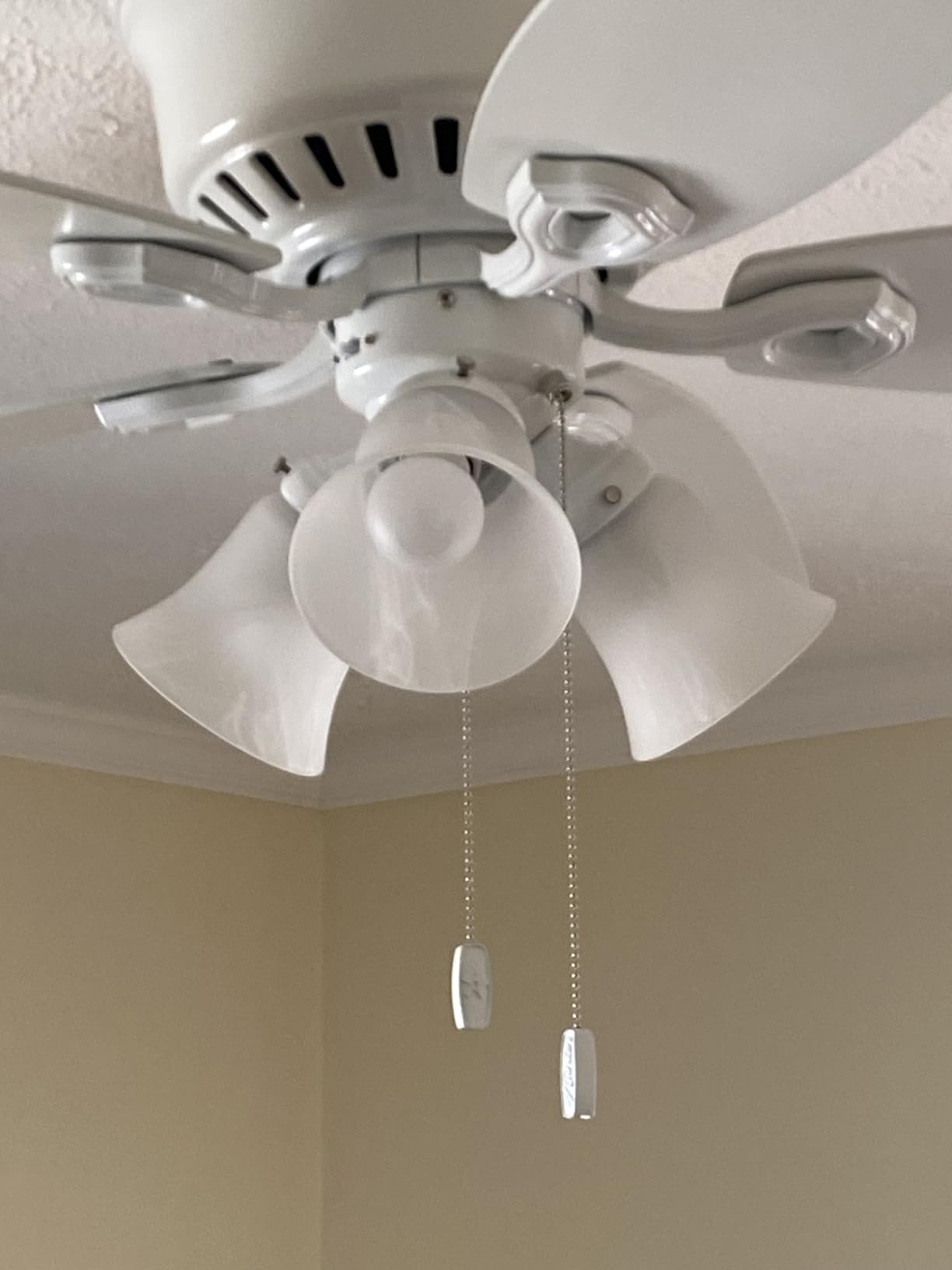 Hunter Builder, Indoor, Ceiling Fan, with LED Lights, 42 inch, Snow White customer photo 1