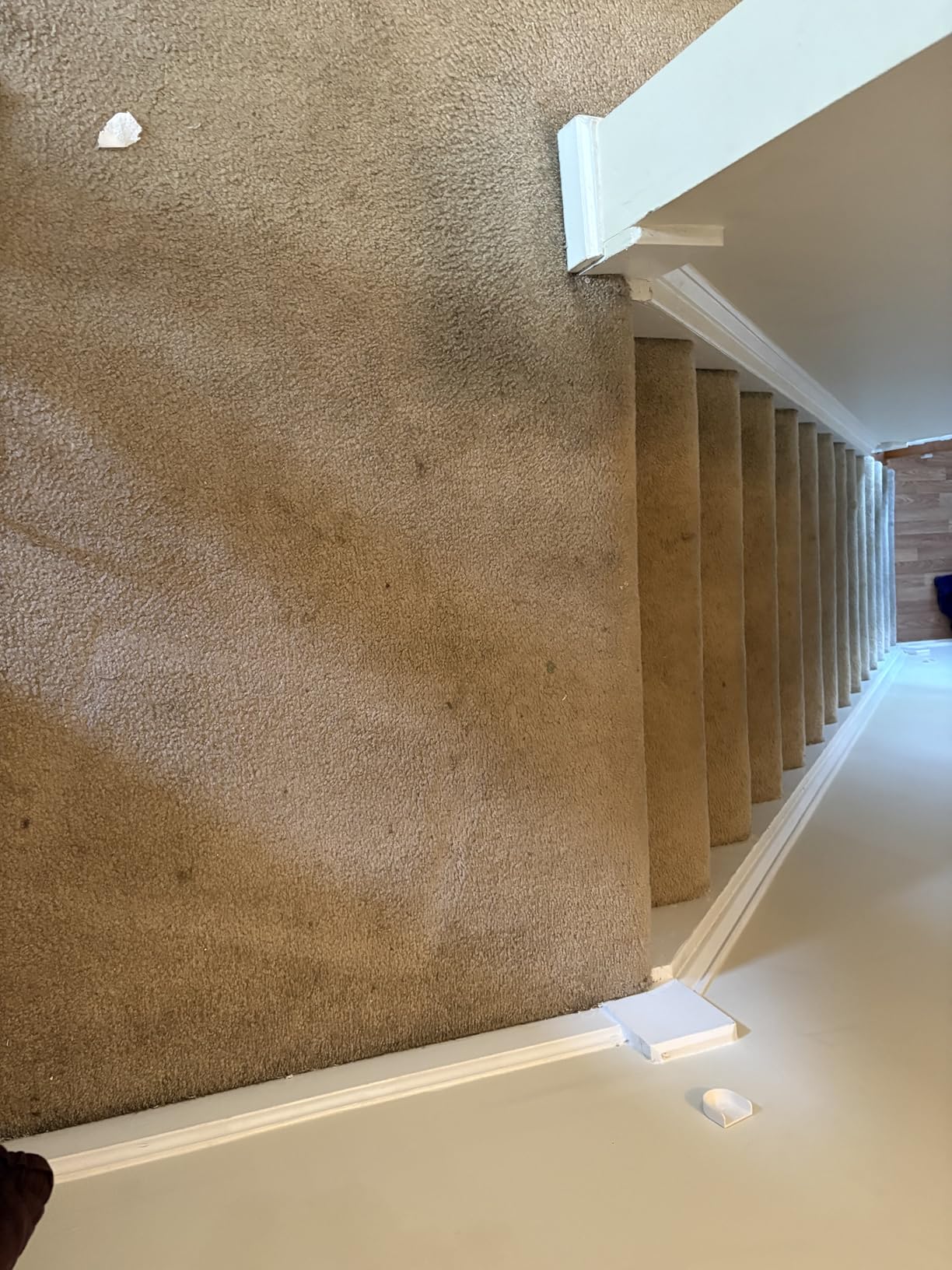 Zep High Traffic Carpet Cleaner - 1 Gallon - Penetrating Formula Removes Deep Stains. Make High-Traffic Areas Look New Again (Pack of 4) customer photo 2