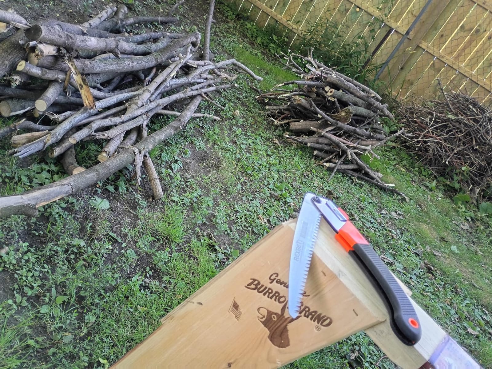 REXBETI 11-Inch Folding Saw, Heavy Duty Hand Saw, Wood & Camping, SK5 Steel customer photo 2