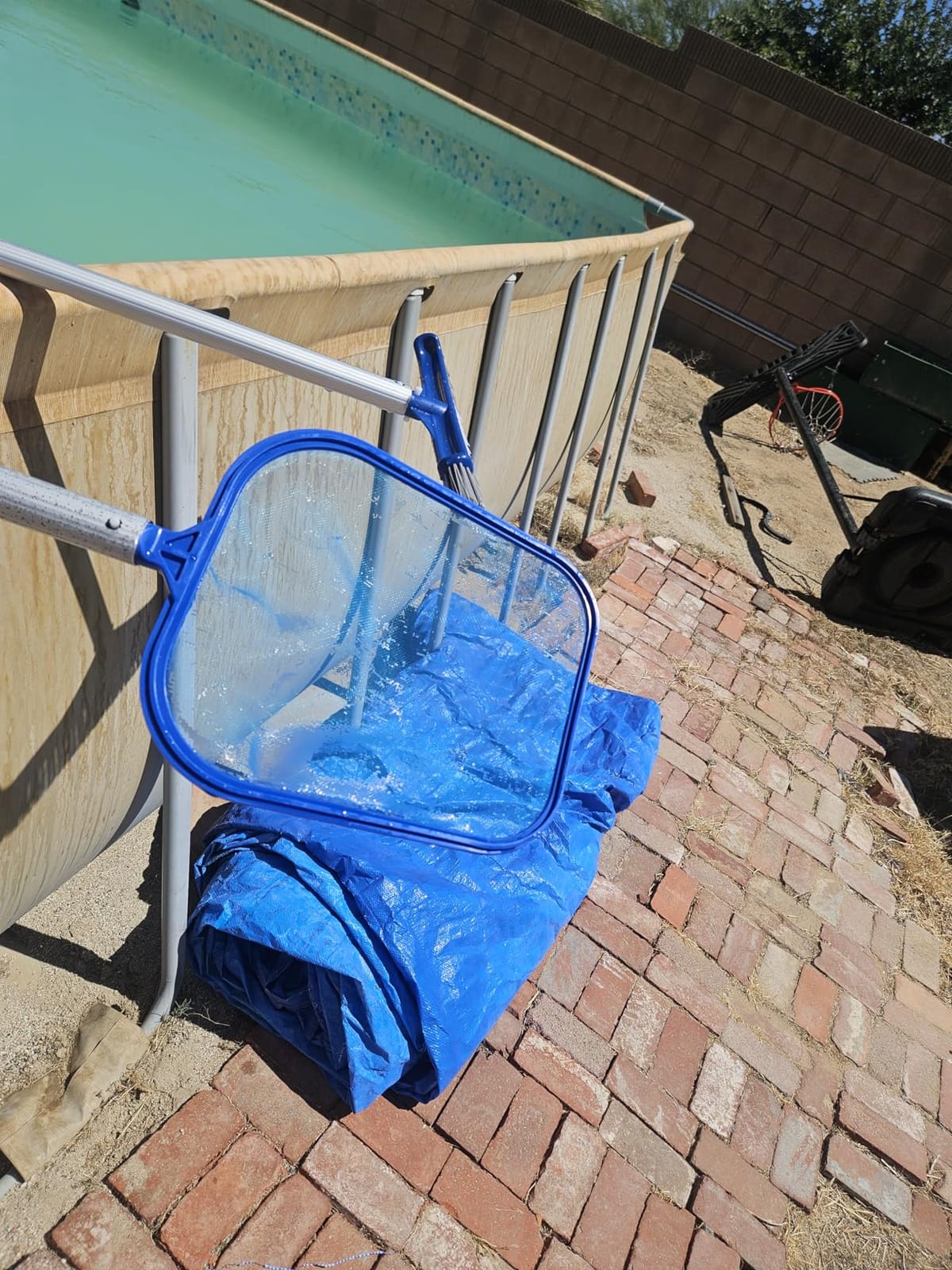 Sunnyglade 17.5x11.8in Swimming Pool Cleaner Supplies Pool Net Skimmer customer photo 2