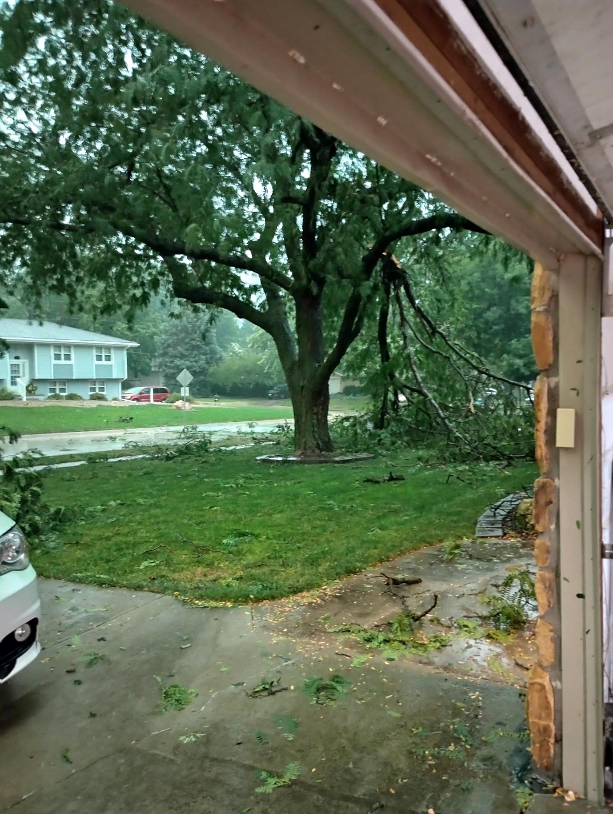CRAFTSMAN V20 Cordless Chainsaw, 12-Inch Electric Chainsaw, Battery Powered, Battery and Charger Included (CMCCS620M1) customer photo 2