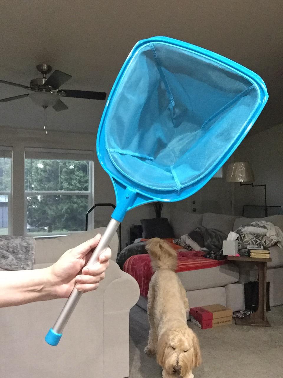 U.S. Pool Supply Professional Spa, Hot Tub, Pool Hand Leaf Skimmer Net with customer photo 1