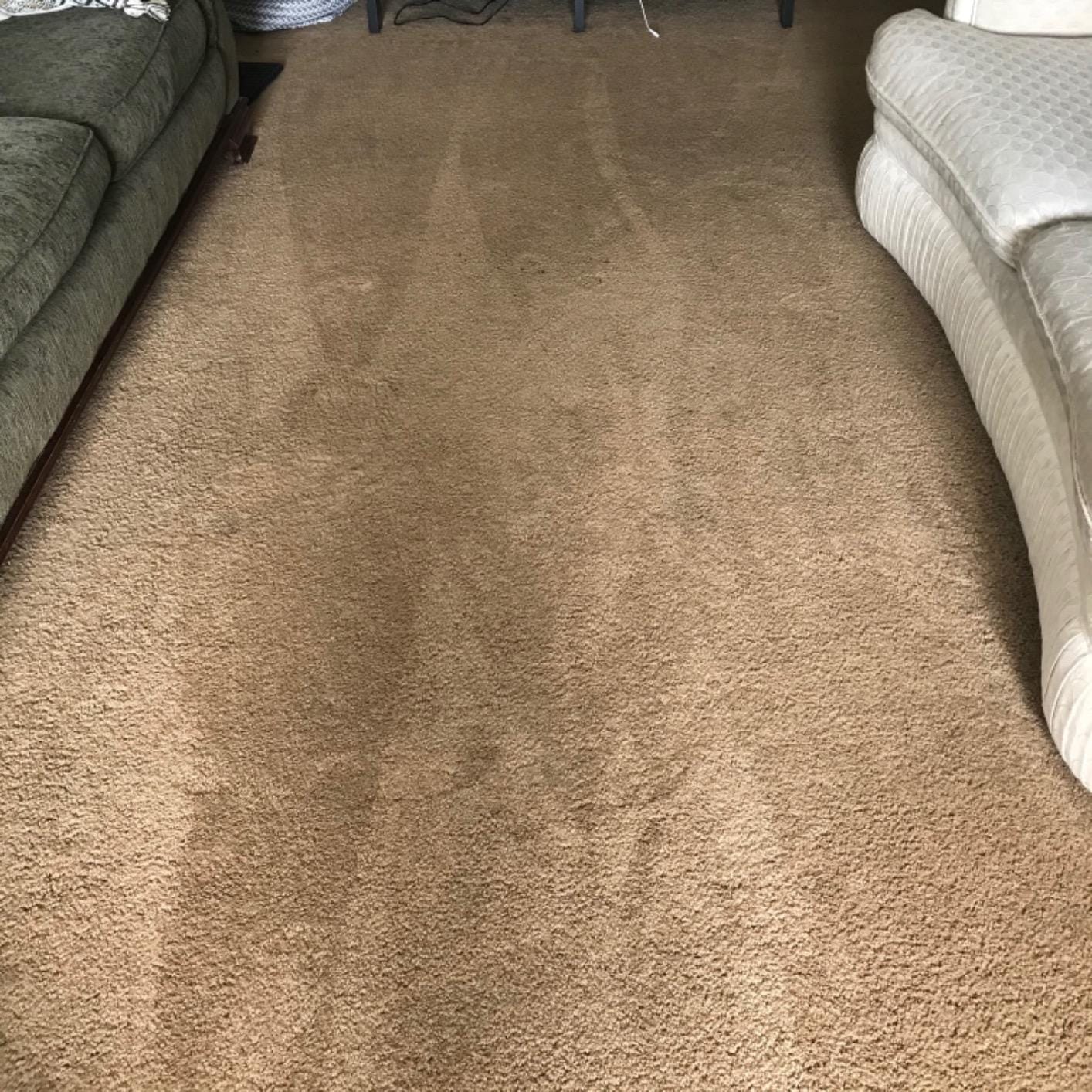 BISSELL Heavy Traffic Carpet Foam, Gain, 22oz (Pack of 4), 14399 customer photo 2