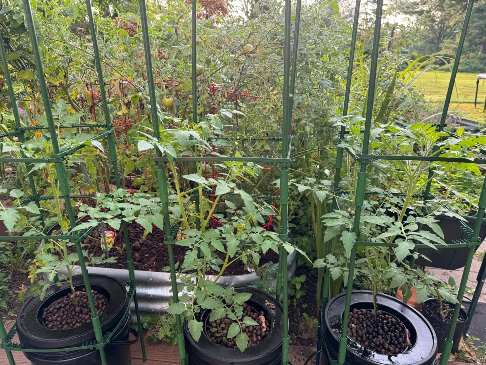 VIVOSUN DWC Hydroponics Grow System with Top Drip Kit 8 Buckets customer photo 1