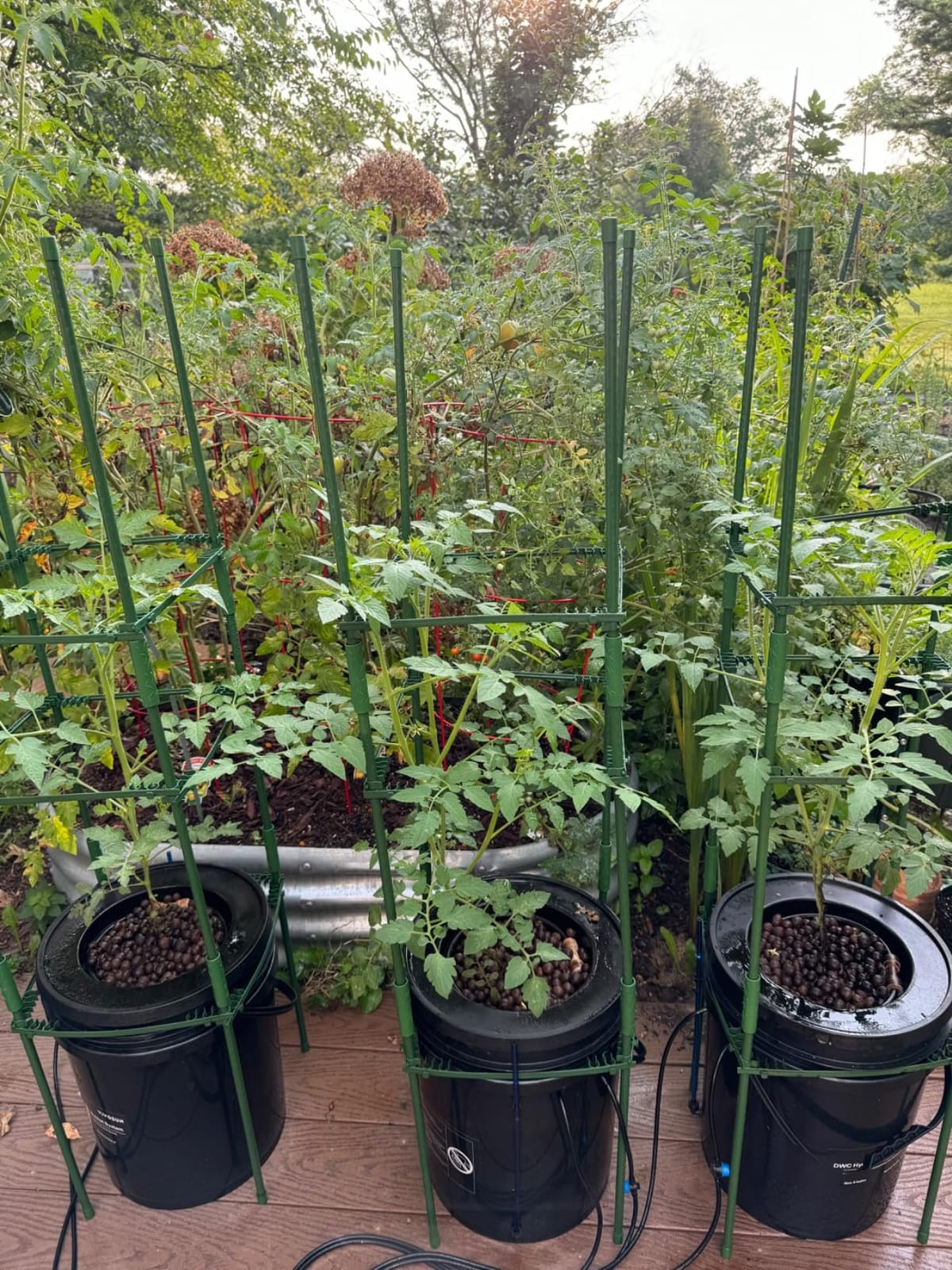 VIVOSUN DWC Hydroponics Grow System with Top Drip Kit 8 Buckets customer photo 2