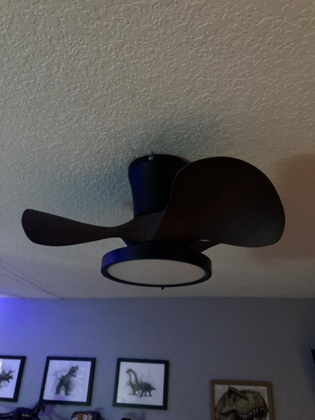 ocioc Quiet Ceiling Fan with LED Light 22 inch Large Air Volume Remote Control for Kitchen Bedroom Dining Room Patio customer photo 1