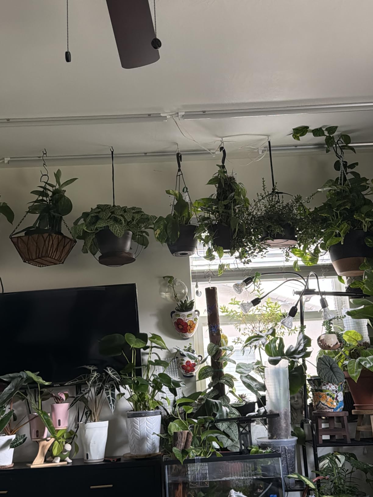 Barrina T8 Grow Lights, 2FT 5000K White Full Spectrum Plant Lights, 6 Packs customer photo 2