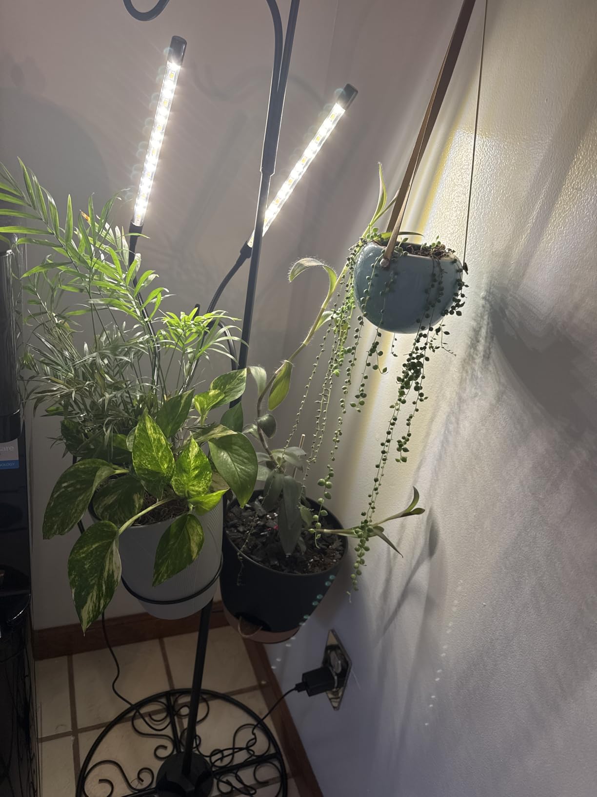 bseah Grow Light Plant Lights for Indoor Plants, Full Spectrum Led Growing Lamp with 3/9/12H Timer, Auto ON & Off, 10 Dimmable Lightness Clip-On Desk customer photo 2