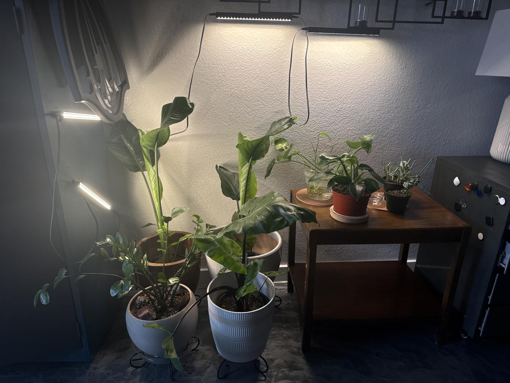 Barrina T5 Grow Lights for Indoor Plants, 5000K Full Spectrum, 1FT, 4 Packs customer photo 1