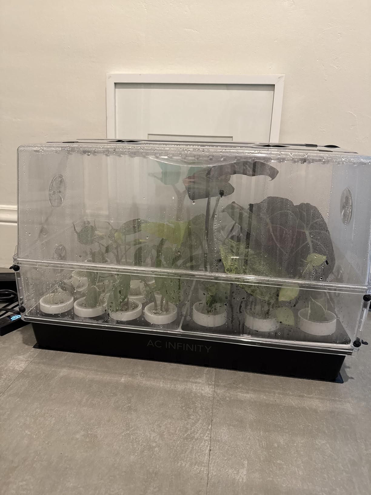 AC Infinity Large Humidity Dome Kit 6x12 w/ LED Grow Lights & Seedling Mat customer photo 1