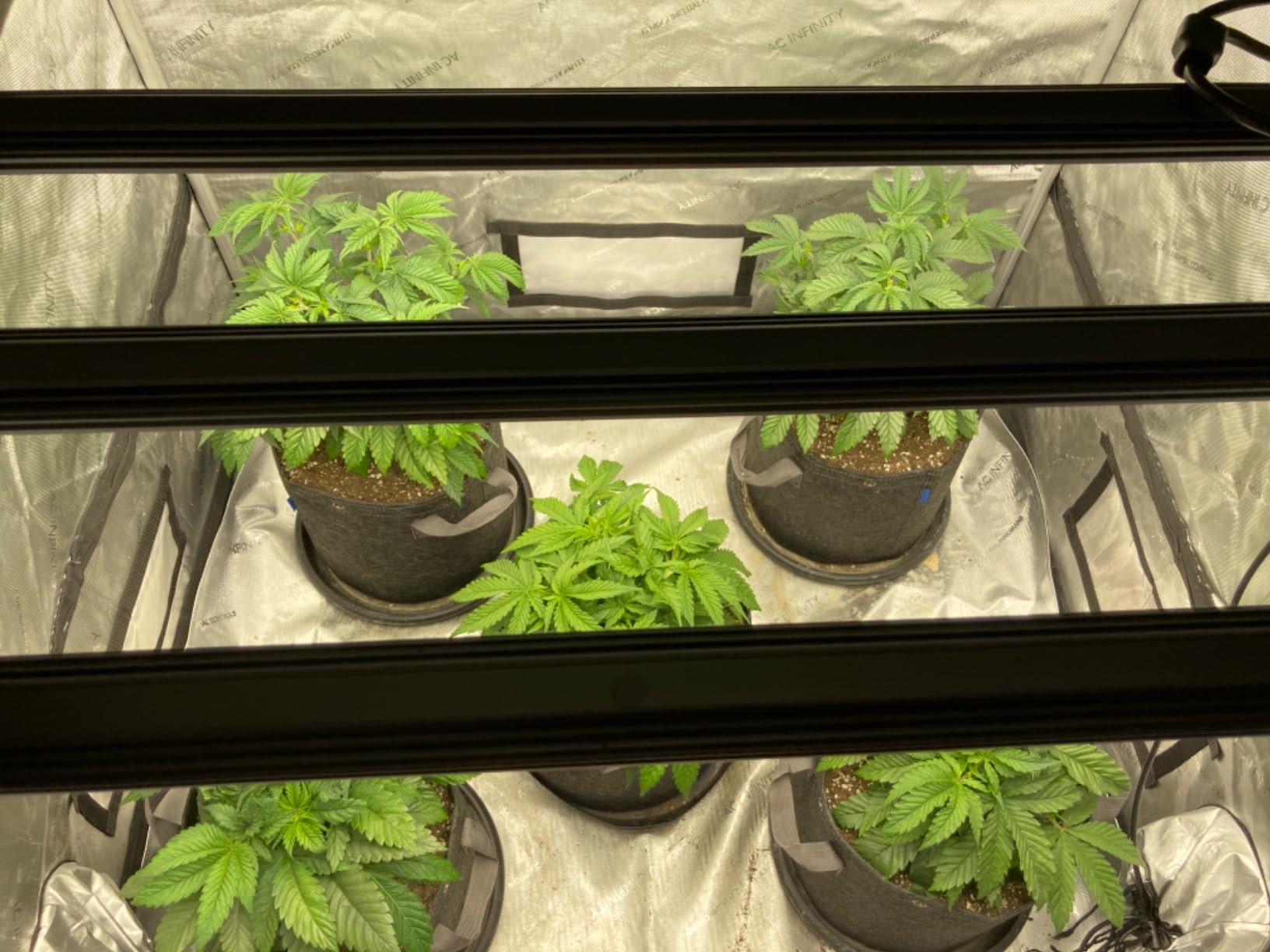 AC Infinity IONFRAME EVO6, 500W Samsung EVO Bar LED Grow Light 4x4 customer photo 1