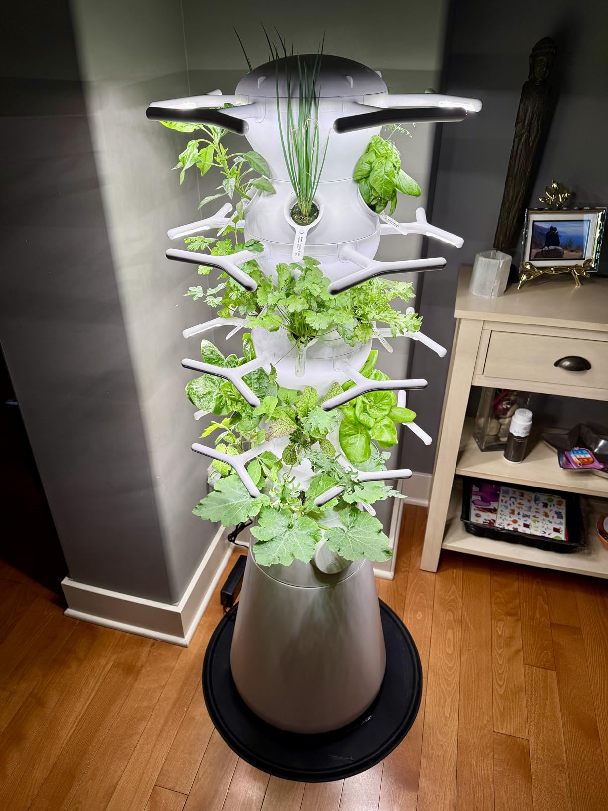 Lettuce Grow Farmstand Nook | 4ft 7in Vertical Hydroponic Garden Tower customer photo 1