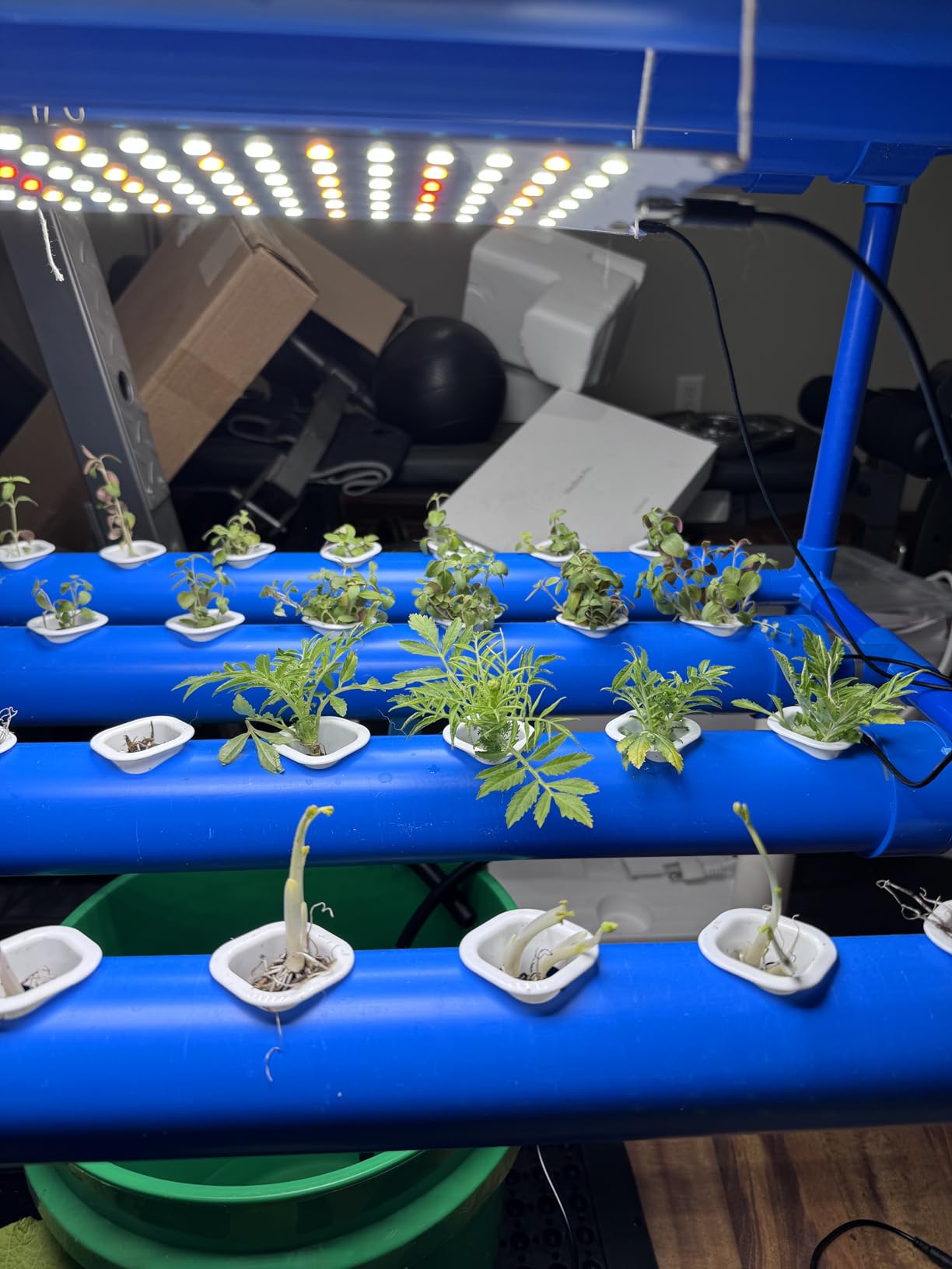 3-Tier 108 Sites Hydroponics Growing System Kit with Light Blocking customer photo 2