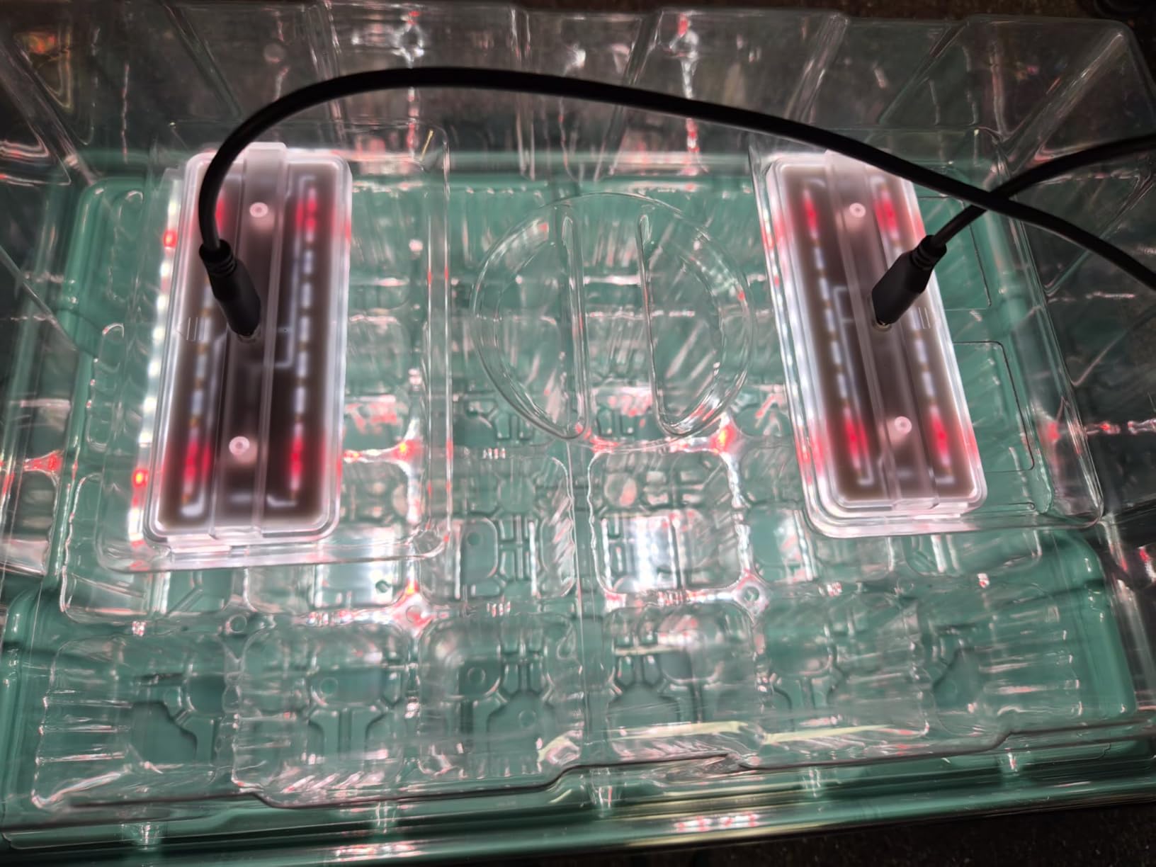 Seed Starter Trays with Grow Lights and Heat Mat, Plant Starting Kit 4 Timing Set Humidity Domes Heightened Lids for Small Mini Greenhouse Germination Seeds Growing Starting (6SET 6TRAY 72 SMALL CELL) customer photo 1