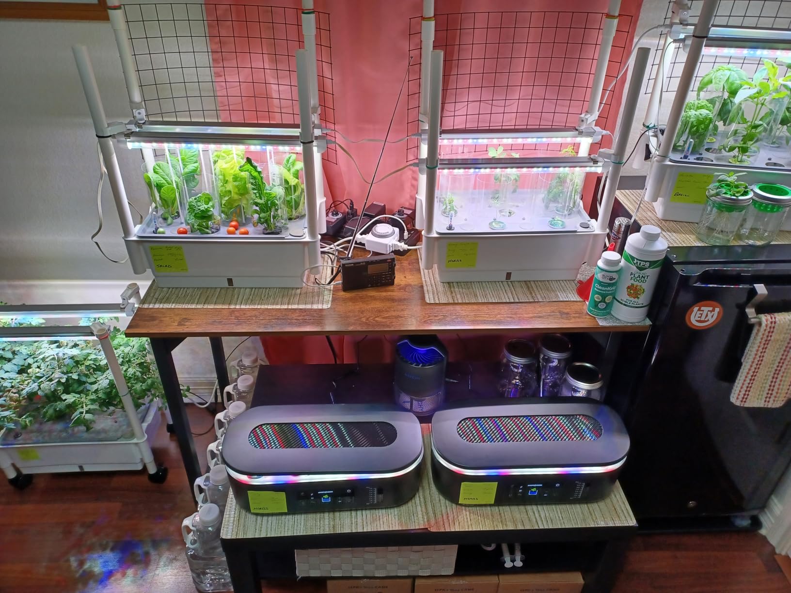 Hydroponics Growing System,AOONEG 28Pods Indoor Herb Garden with LED Grow Light,Hydroponics Growing System Kit with Automatic Timer,Pump System,Adjustable Height,No Seed customer photo 1