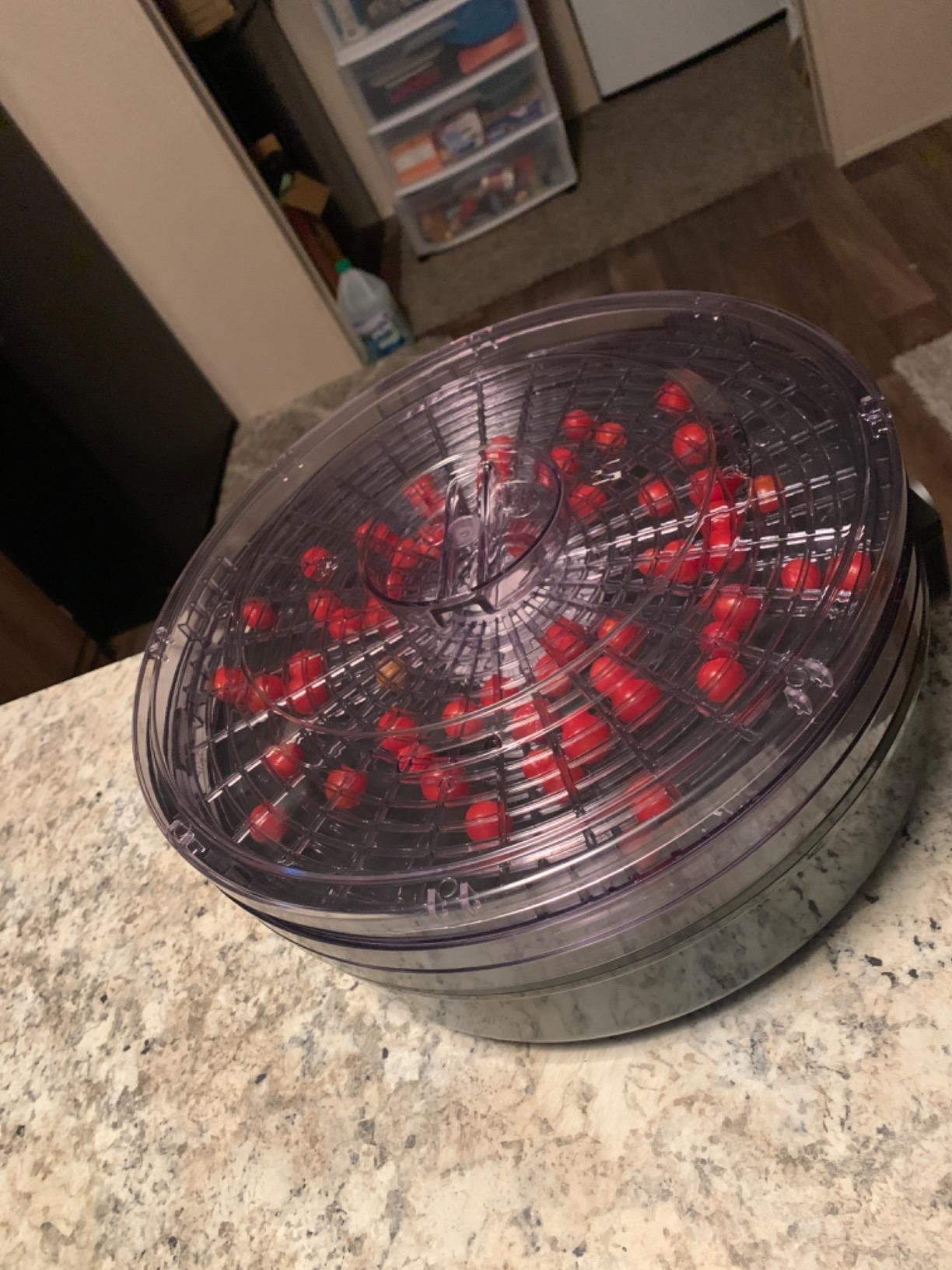 Nutrichef Food Dehydrator Machine | Multi-Tier Appliance for Home Use | Perfect for Beef Jerky, Fruits, Vegetables & Dog Treats | High-Heat Circulation | 5 Stackable Trays customer photo 1