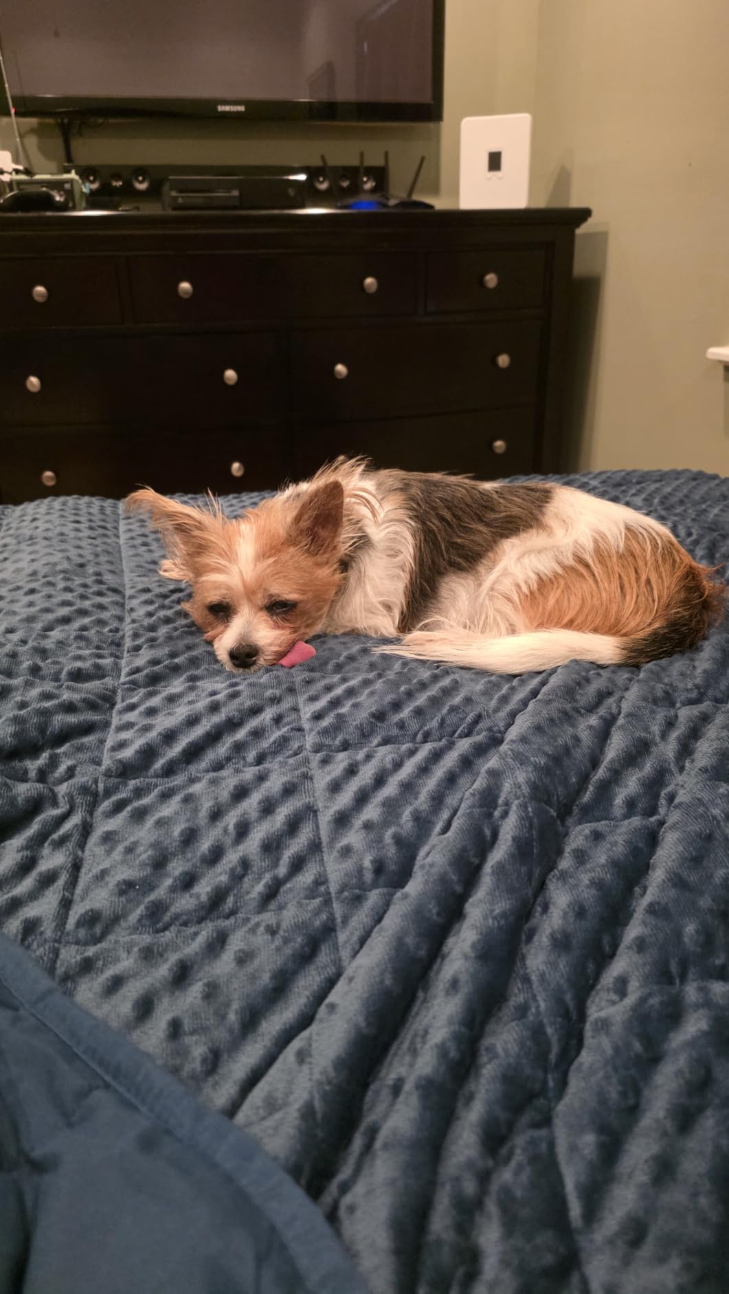 Kivik 7lbs Weighted Blanket, Cooling Soft Minky Dot Heavy Blankets, 41