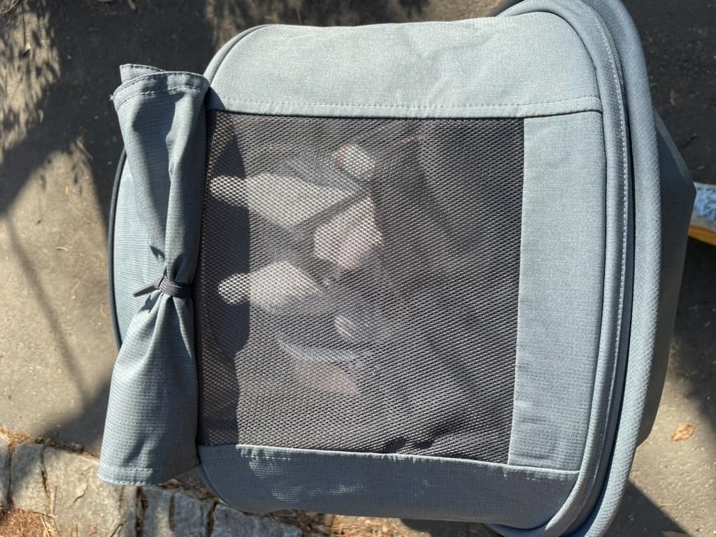 UPPAbaby Minu V3 Travel Stroller - Lightweight & Compact - Dillan customer photo 2