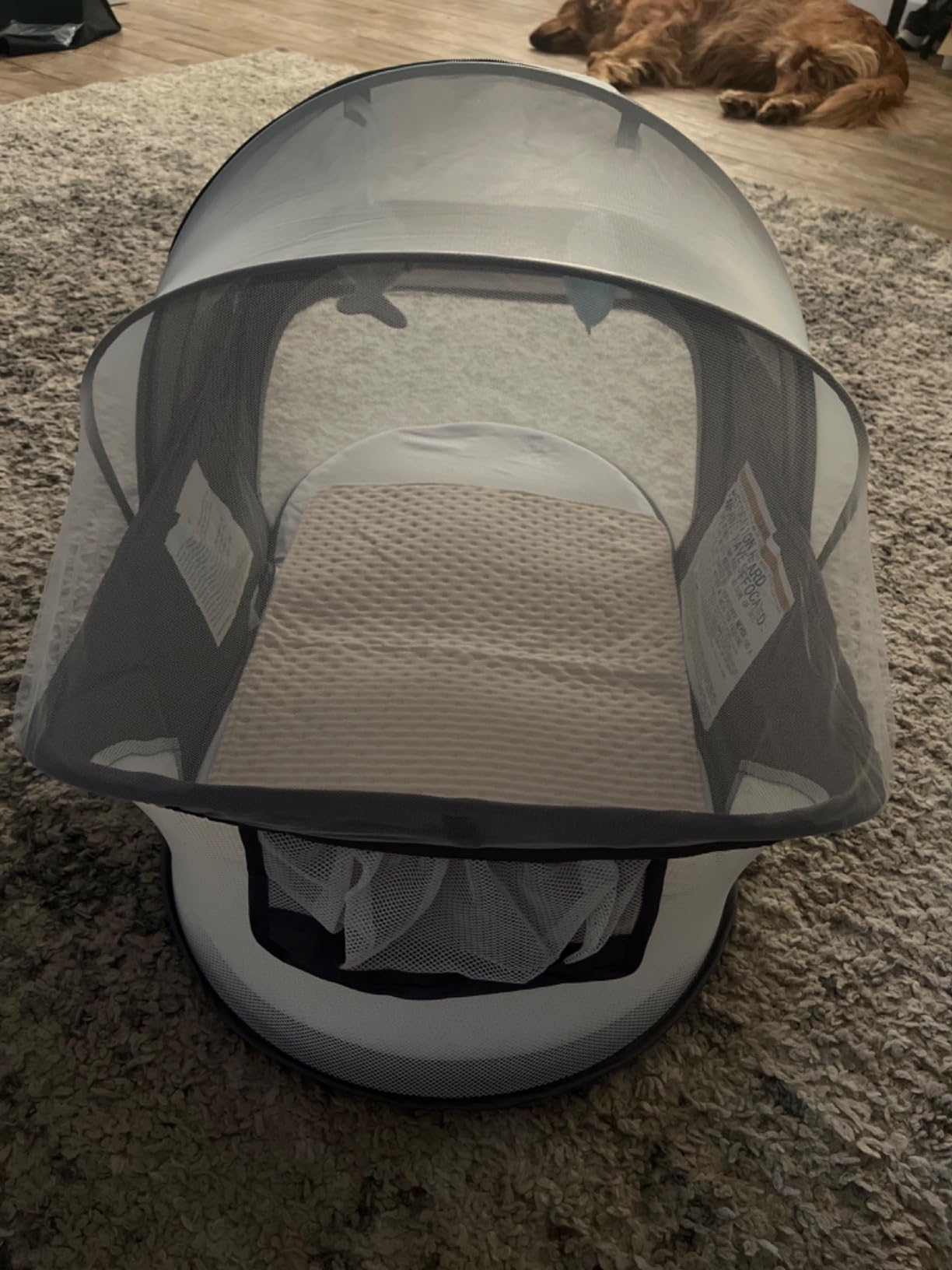 ISELECTOR Portable Baby Bassinet Travel Baby Bed, Baby Cribs Travel Pod for Outdoors Baby Lounger Infant Travel Bed with Mosquito Net and Sunshade Canopy, Lightweight Washable customer photo 2