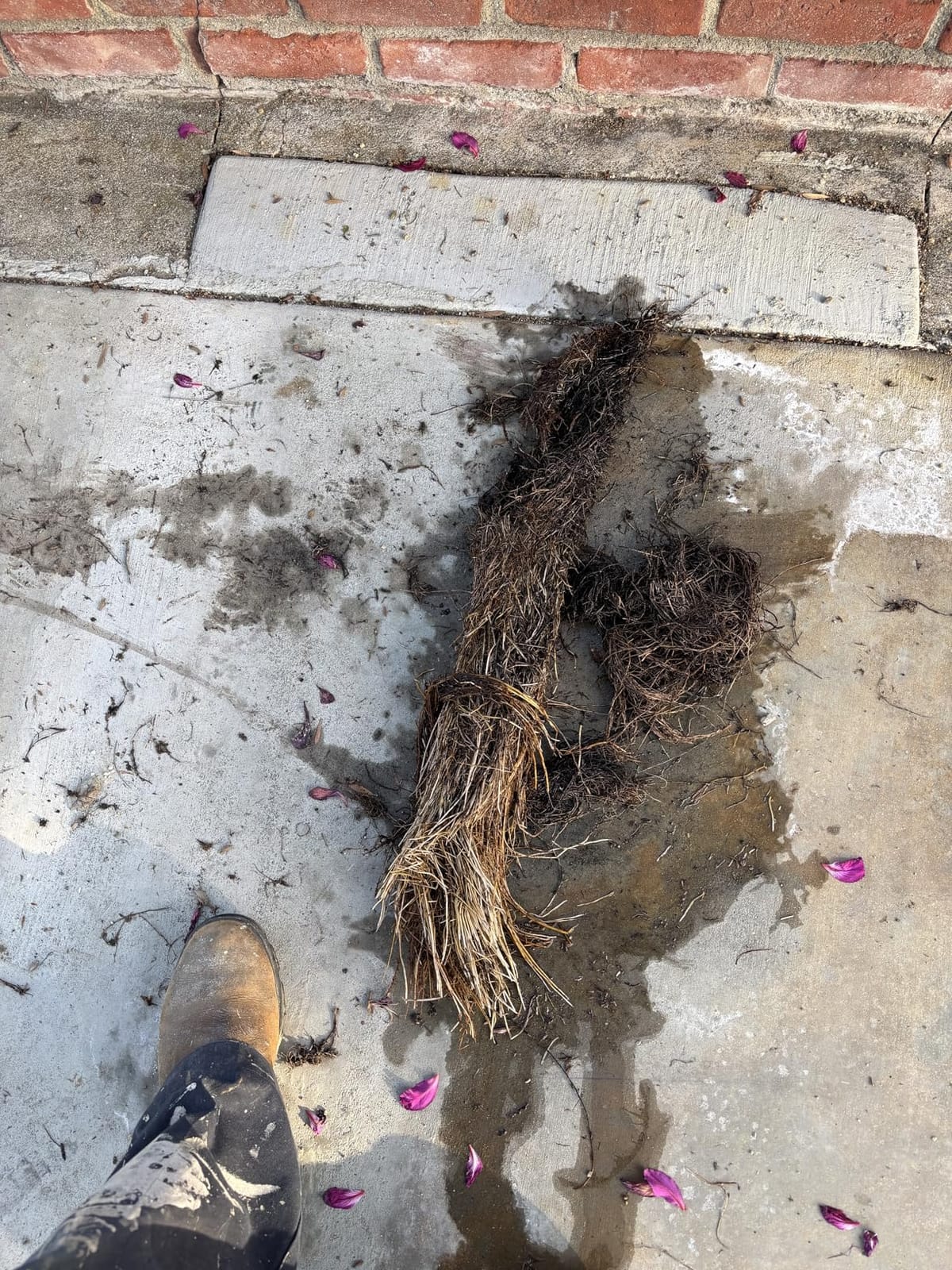 Sewer Camera 100ft w/ 23mm 1080P Probe, 8500mAh, 32GB Audio & Video Record customer photo 1