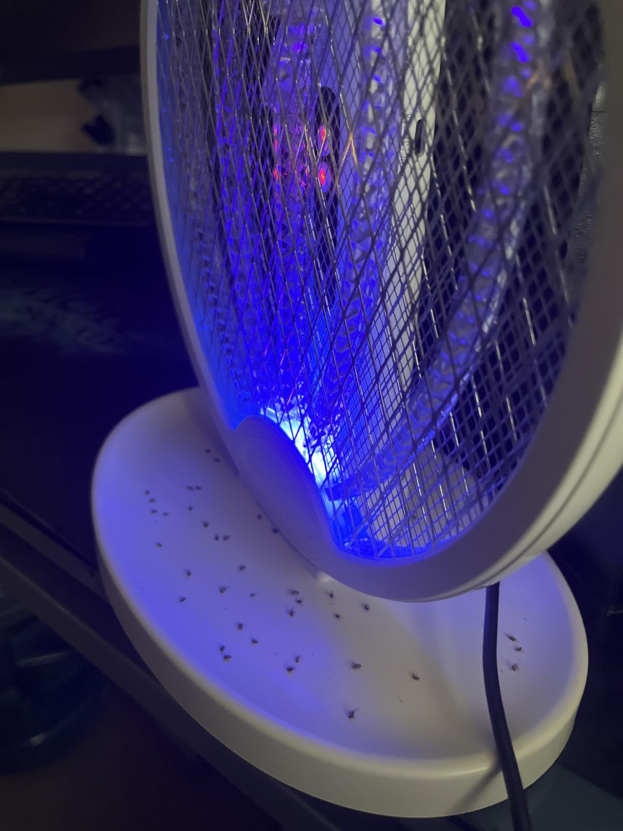 YISSVIC Electric Fly Swatter Bug Zapper Racket, White customer photo 2