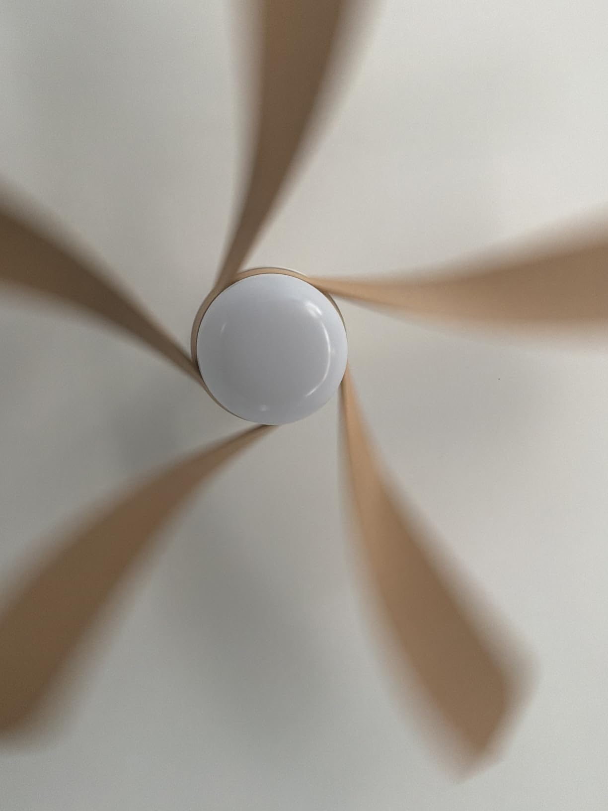Sofucor 52 Inch Smart Ceiling Fans with Lights and Remote, APP Control customer photo 1